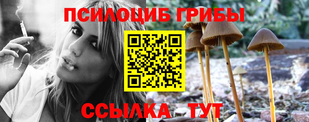 Галлюциногенные грибы прущие грибы  Галлюциногенные грибы Psilocybe  Фрязино  Вход с VPN 