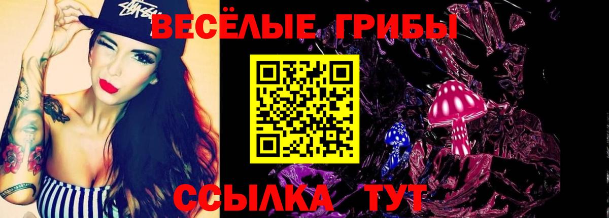 Галлюциногенные грибы GOLDEN TEACHER Фрязино